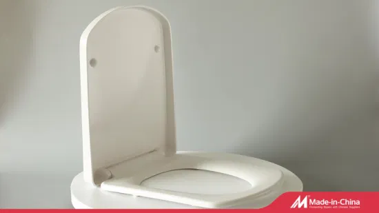 변기 광장, 느린 표준 화장실을 위한 UF 플라스틱 변기